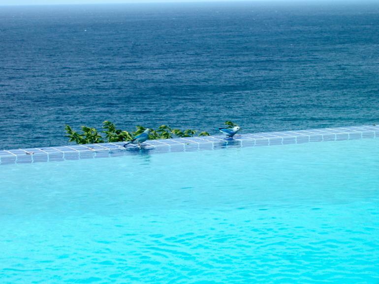 Being Villa Plymouth Bagian luar foto